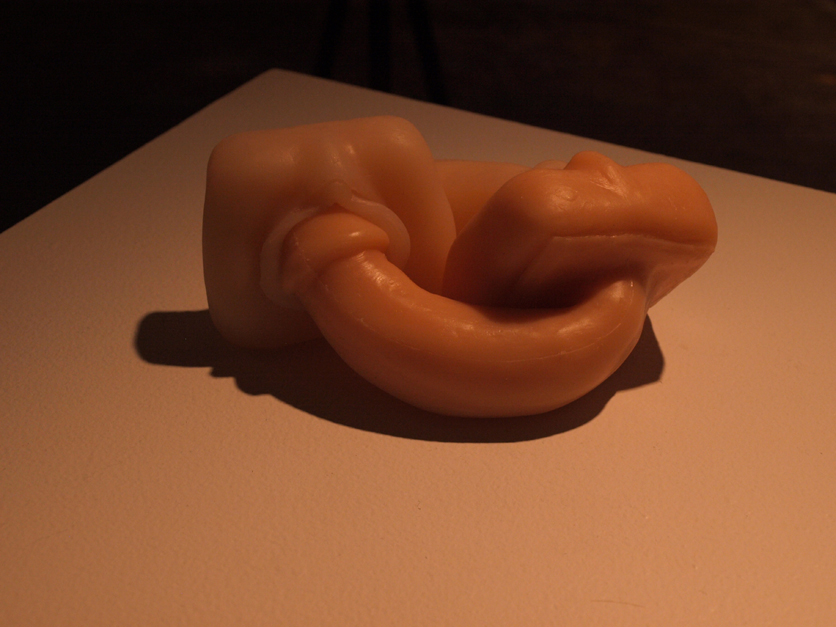 Maxx Lexington, title: Homologue. Silicone sculpture.